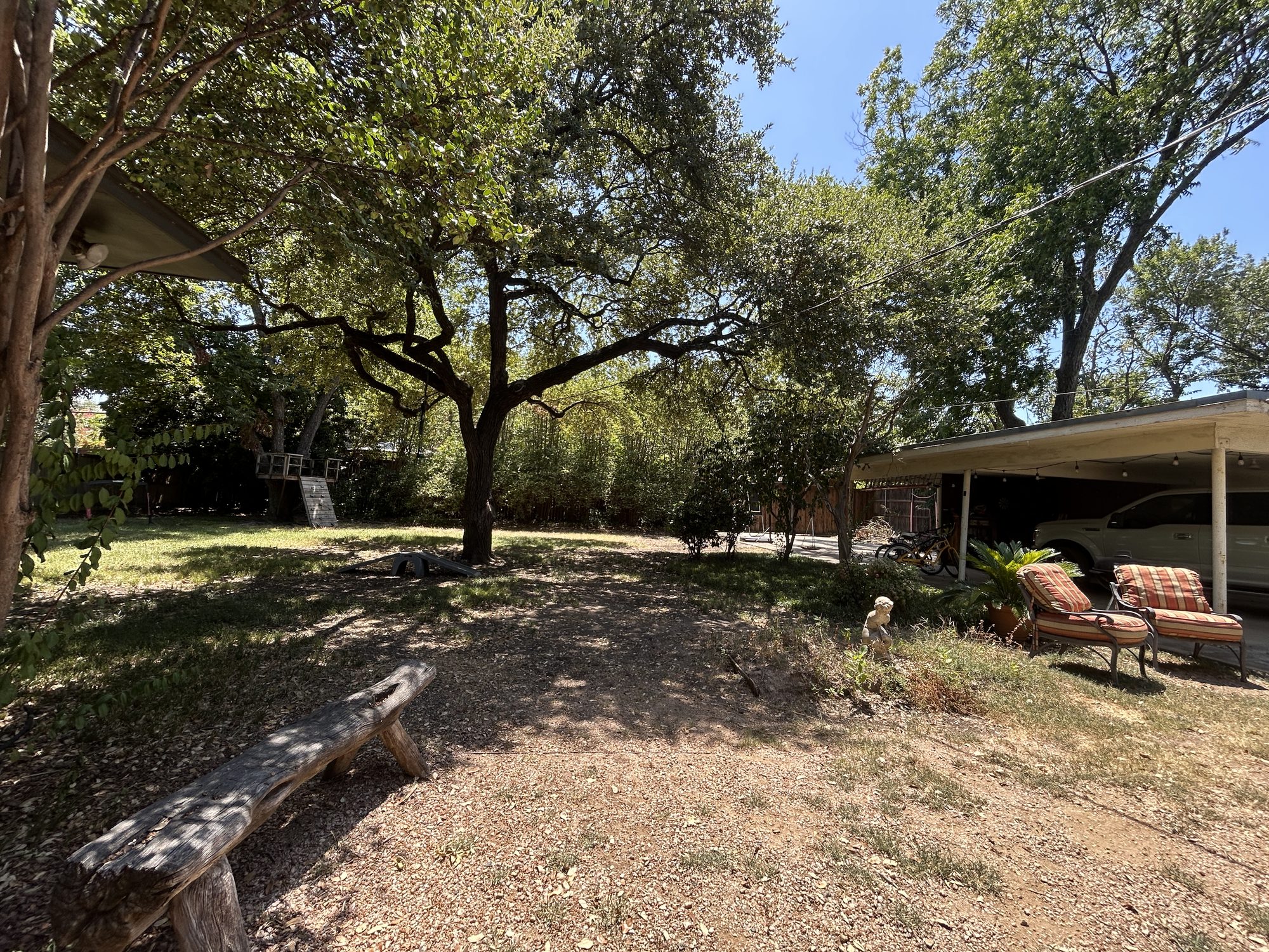 Backyard and mature tree canopy